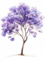 Obraz premium Watercolor illustration of jacaranda tree with vibrant purple flowers, showcasing its beauty and elegance in nature