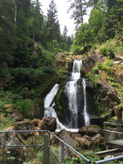 Serene Forest Waterfall in Lush Greenery Landscape
