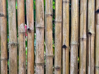 Closeup bamboo lath in daytime