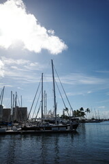 Obraz premium hawaii, waikiki, honolulu, summer, USA, america, travel, architecture, design, style