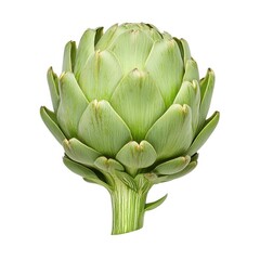 Obraz premium A fresh, green artichoke displayed upright, showcasing its layered leaves and distinct shape.