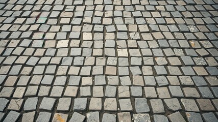 A perspective shot of a cobblestone pathway, showcasing the irregular shapes and natural textures of the stones, creating a visually interesting and tactile surface.