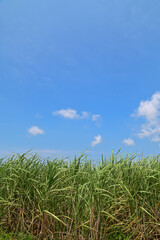 宮古島のとても美しい海の風景