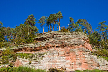 Obraz premium red sandstone rocks against a blue sky on the rock path in Dahner Felsenland in the Palatinate Forest