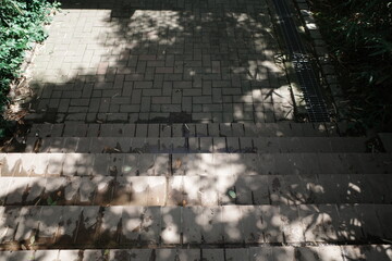 seoul, korea, summer, plant, garden, park, architecture