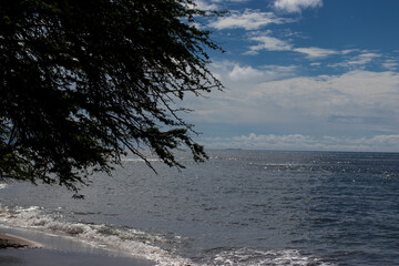 Maui Sparkle