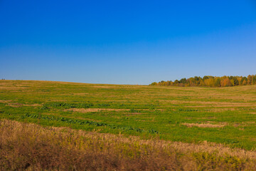Obraz premium Road shoulder on a sunny autumn day. Views of the landscape from the car window.