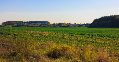 Obraz premium Road shoulder on a sunny autumn day. Views of the landscape from the car window.