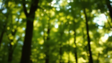 Fototapeta premium Abstract Green Forest Blur with Sunlight Filtering Through Branches