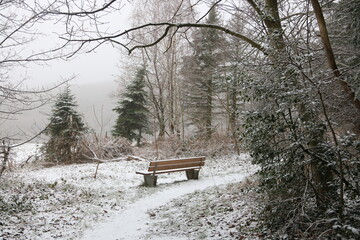 Landschaft im Winter mit Schnee zwischen Wald und Wiese