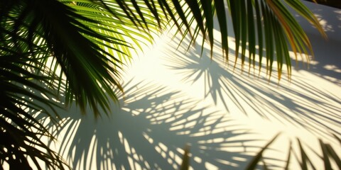 Palm fronds casting intricate shadows on a light background, a delicate play of light and shadow that evokes a sense of tranquility and summer vibes.