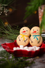 French christmas macaroons of different shapes and colours surrounded by christmas lights and pine 