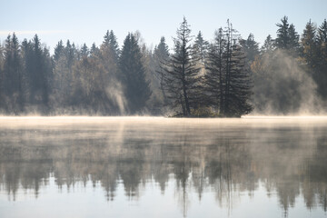 Morgennebel am See