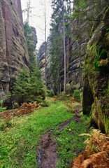 Adrspach - rock town. Nature park - Czech Republic. Sandstone big stones and rocks in the forest. Autumn landscape.