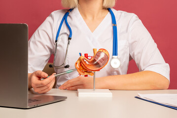 doctor nephrologist pointing at stomach anatomical model