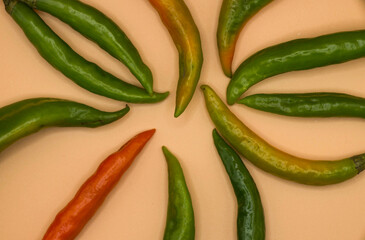fresh peppers on a yellow background