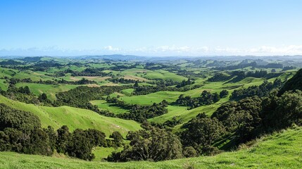 Fototapeta premium Scenic Overlook of Green Hills and Valleys