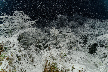 Dichter Schneefall am Fuße eines Hügels