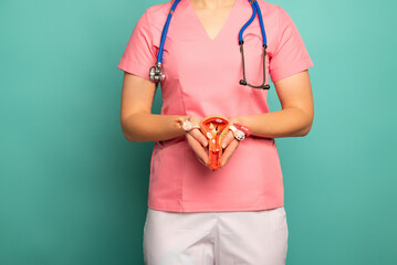 doctor woman holds model of female reproductive system in the hands. Help and care concept