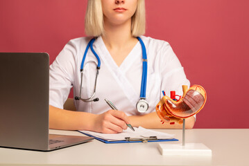 anatomical model stomach on work desk of doctor