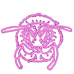 Line art of neon lights in the shape of a Bee head