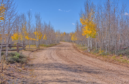Telephone Hill Road in Kaibab National Forest AZ