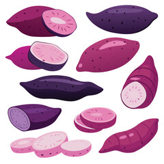 Sliced Sweet Potato Vegetable Art, Sliced purple yam Potato, healthy raw vegetable,Organic Farm Sweet Potato