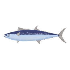 Japanese Mackerel
