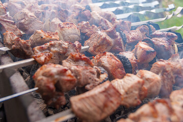 Cooking Beef Shish Kebab Over an Open Fire for