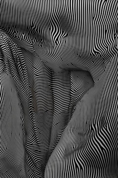 Zebra Structural Flow