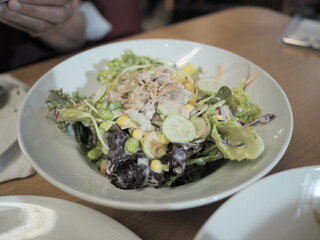 Preparing a fresh tuna salad restaurant food photography indoor close-up healthy eating