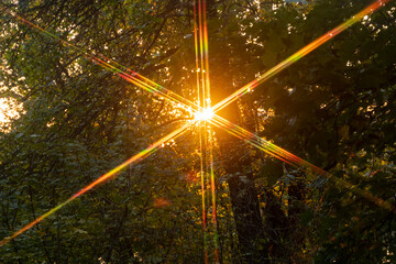 Spectra of the setting sun.
When light passes through the crown of a tree, patterns are formed.
