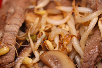 bean sprouts prepared with meat and mushrooms. meal details. meat with mushrooms and bean sprouts on red background.