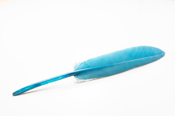 blue feather with white background 