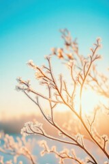 Frozen Branches Shimmering in Golden Winter Light