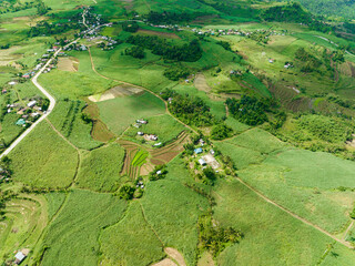 Farmland with rice fields and sugarcane plantations. Negros, Philippines