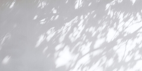 Plant shadows on gray background, texture background, texture overlay