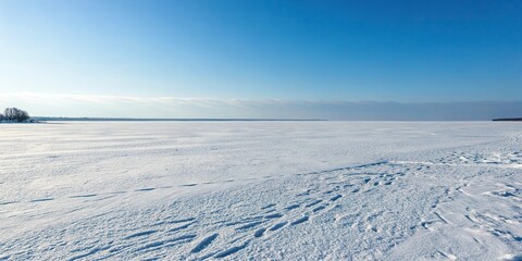 A vast expanse of untouched snow stretching out to the horizon, natural scenery, snow-covered terrain, winter landscape, whiteout, snowy wilderness
