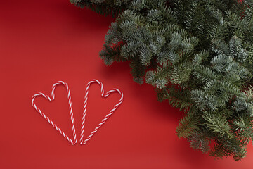 two hearts made of caramel and branches of nobilis on a red background. Christmas background with fir tree and candy canes.