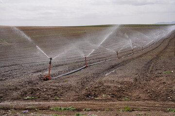 agricultural field with sprinklers