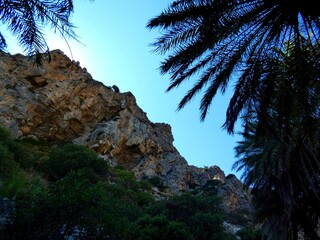 palme e rocce a Creta