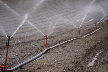 agricultural field with sprinklers