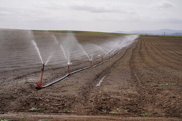agricultural field with sprinklers