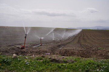 agricultural field with sprinklers