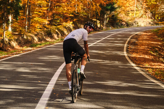 Cyclist enjoying an autumn ride through a scenic forest road. Golden leaves and sunlight create a stunning backdrop for this active lifestyle image. Perfect for travel, sports, or nature themes. 