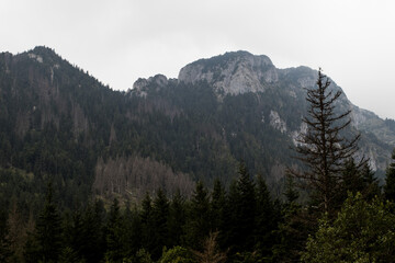 Fototapeta premium Tatra National Park and beautiful views.