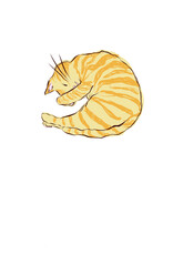 Croissant cat 
cat on a white background