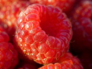 close up of raspberries