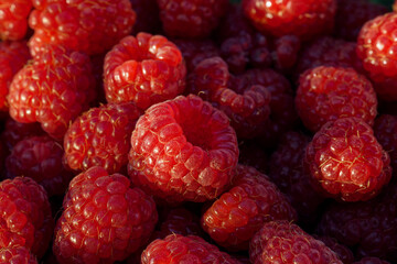 close up of raspberries