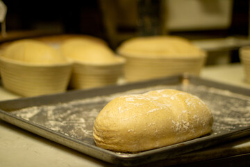 A loaf of fresh bread sitting in a bakery with flour on it.
